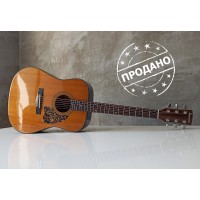 Ibanez AW-20